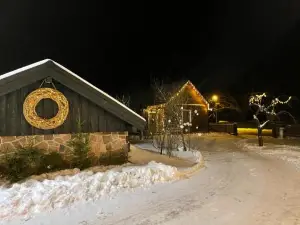 Ragaciema Skadiņi
