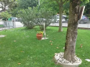 B&B Ciccilia