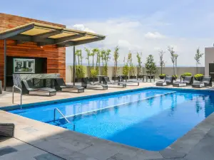 Hilton Garden Inn Aguascalientes