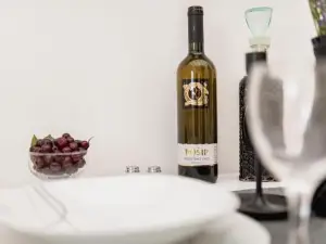 Studio Apartment Harmony NP Krka