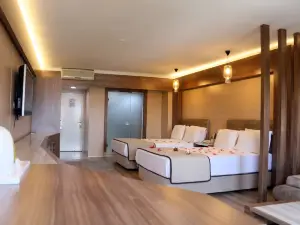 Basmacioglu Hotel - Special Class