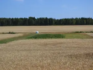 Värmlandsnäs Valdersrud Stenröse