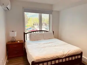 Unit #203 Cozy Mountain View 1Br in DT