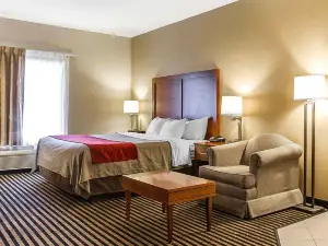 Comfort Inn Owatonna Near Medical Center