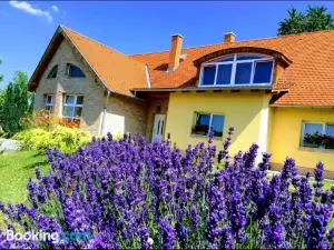 Apartments for Rent Near Budapest