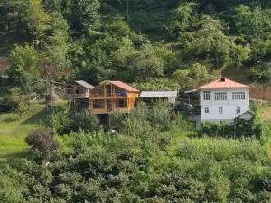 Guest House Okropilauri