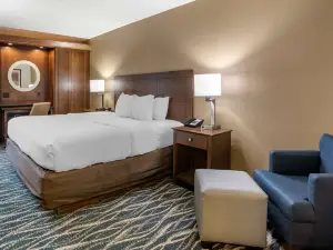 Comfort Inn & Suites Newark - Wilmington