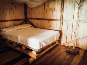 Toucan Lodge Amazon Rainforest Retreat