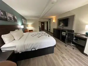 派因維爾 - 亞歷山卓舒眠套房酒店
