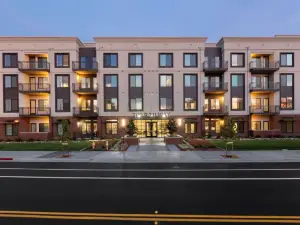 Resort-Style Pool and Rooftop Deck with Skyline Views - Elegant Oasis