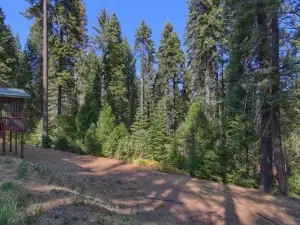 Aspen House in Fish Camp- 2 Miles from Yosemite's South Entrance