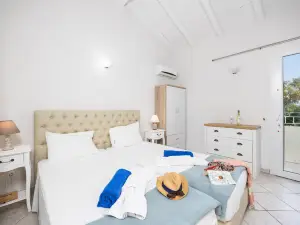 Ormos Beach House in Apraos