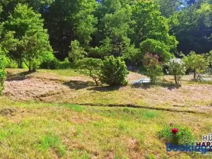 Arode Hütte Harzilein - Romantic Tiny House on the Edge of the Forest