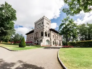 佐熱達森林城堡飯店