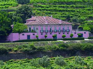 Casa Dos Varais, Manor House