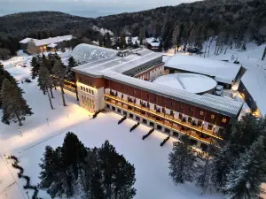 布爾薩烏魯達瑞士酒店
