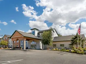 Best Western Wittenberg Inn
