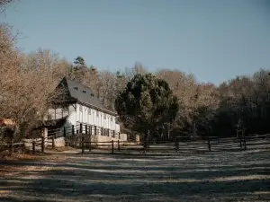 Cabane Rouge-Gorge