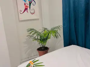 Harmony Heights Lautoka Apartment with Sunset Views