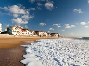 Résidence Plage Centrale Studio