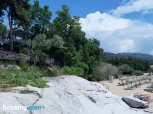 Palio Villa
