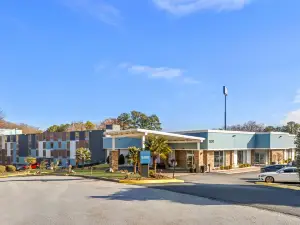 Best Western Atlanta Cumberland/Galleria Hotel