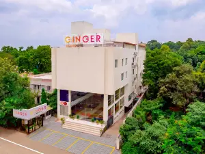 Ginger Bhavnagar