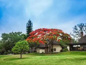 사비 리버 선