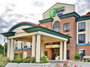 Holiday Inn Express & Suites DYERSBURG by IHG