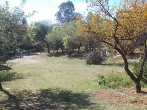Chañares Majuk