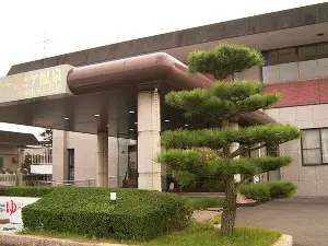 New Heartpia Onsen Hotel Nagashima