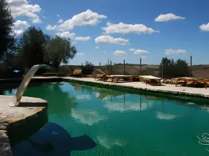 Podere Spedalone