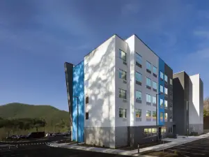 Tru by Hilton Asheville Blue Ridge Parkway