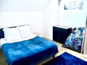 Oasis Aqua