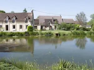 โฮลิสติกา