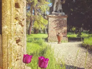 Charme of Villa Capannina
