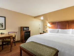 Hampton Inn & Suites Florence-North-I-95