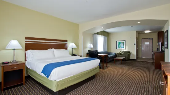 Holiday Inn Express & Suites Denver East-Peoria Street