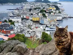 Ålesund Apartment with free parking