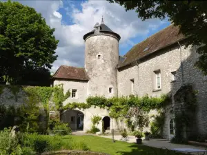 Hotel Relais Louis XI