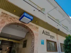 Hotel Aeropuerto Sur