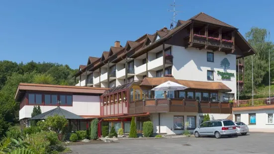 Panorama Hotel Heimbuchenthal
