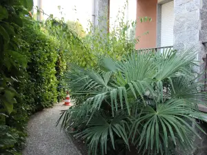 B&B Milano Malpensa 1