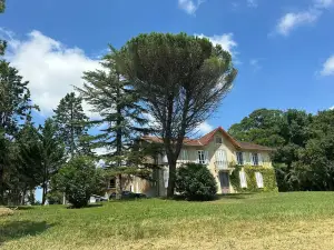 ドメーヌ ドゥ ラセール