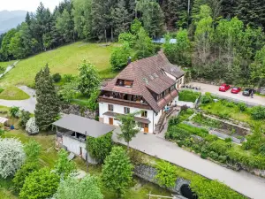Spatzennest