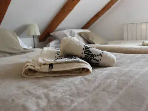 Ajda lavander apartment in Mutilić, Croatia - 2 Bedroom Apartment