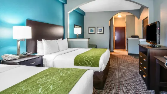 Comfort Suites Tampa/Brandon