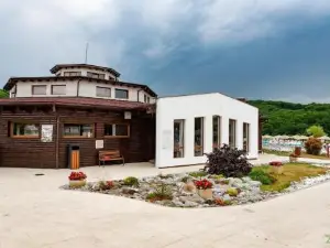 Casutele Deny Băile Figa cu Aer condiționat
