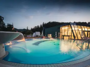 Hotel Švicarija - Terme Dobrna