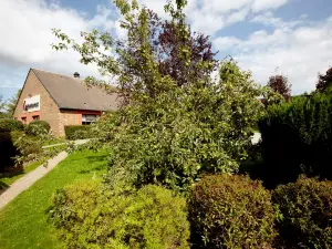 Campanile NATURE - Rouen Nord Mont Saint Aignan